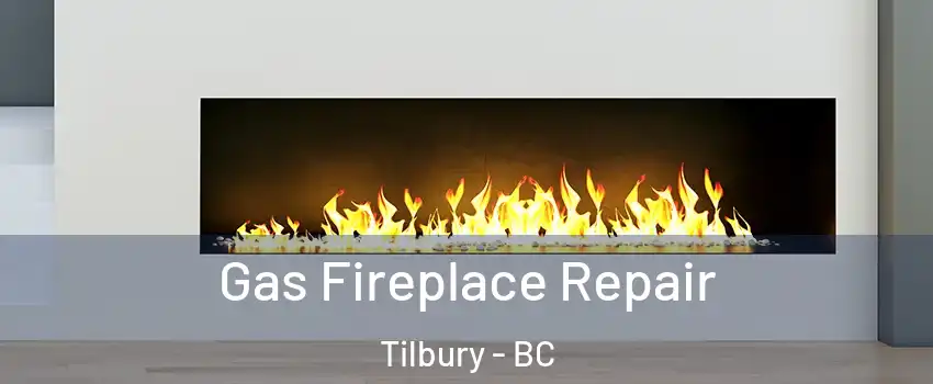  Gas Fireplace Repair Tilbury - BC