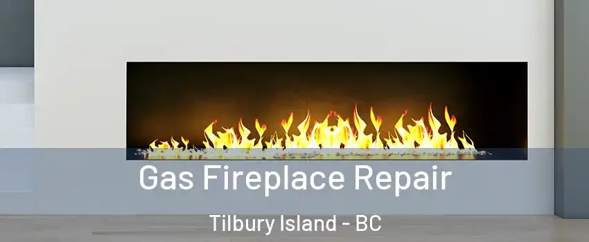  Gas Fireplace Repair Tilbury Island - BC