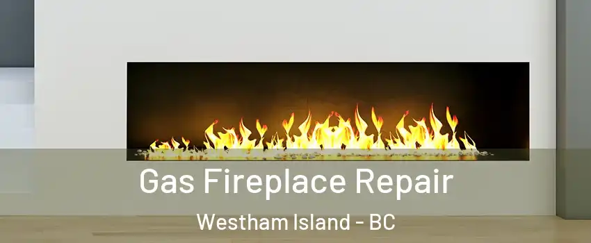  Gas Fireplace Repair Westham Island - BC