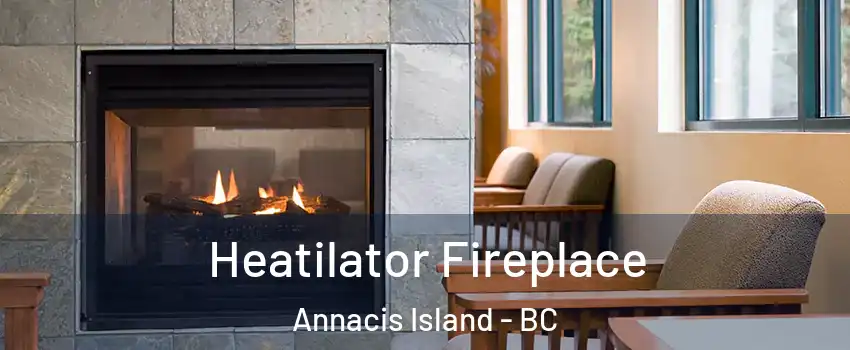  Heatilator Fireplace Annacis Island - BC