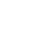 Professional Chimney Flue Installation in Delta, British Columbia