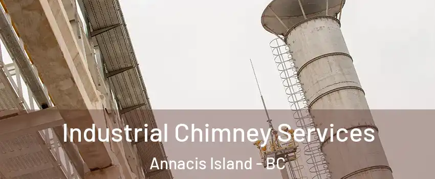  Industrial Chimney Services Annacis Island - BC