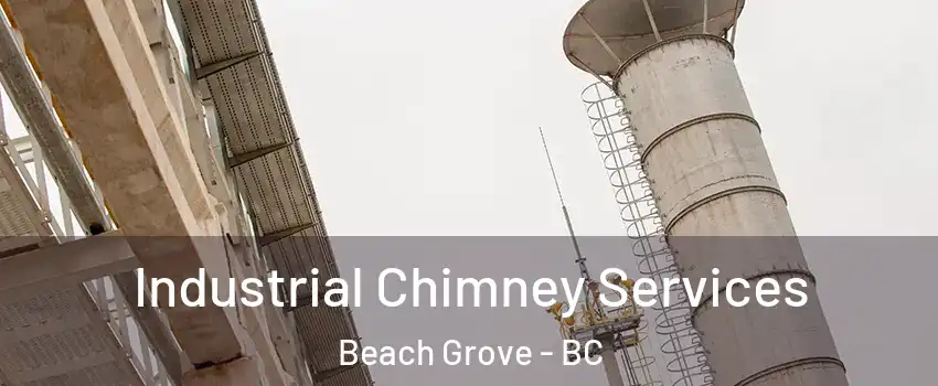  Industrial Chimney Services Beach Grove - BC