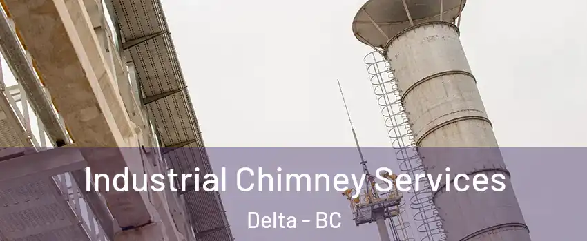  Industrial Chimney Services Delta - BC