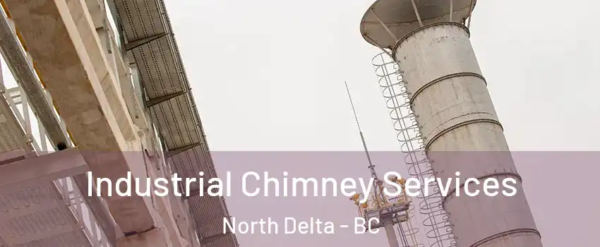  Industrial Chimney Services North Delta - BC
