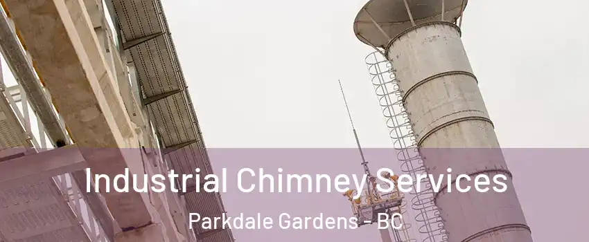  Industrial Chimney Services Parkdale Gardens - BC