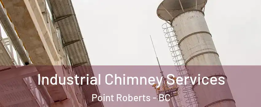  Industrial Chimney Services Point Roberts - BC
