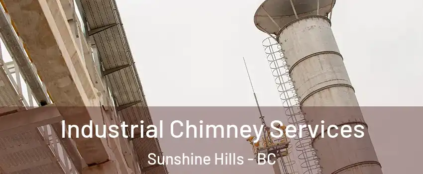  Industrial Chimney Services Sunshine Hills - BC