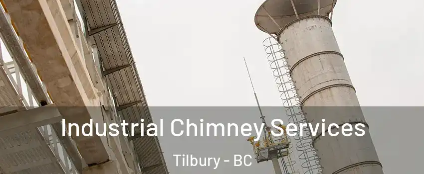  Industrial Chimney Services Tilbury - BC