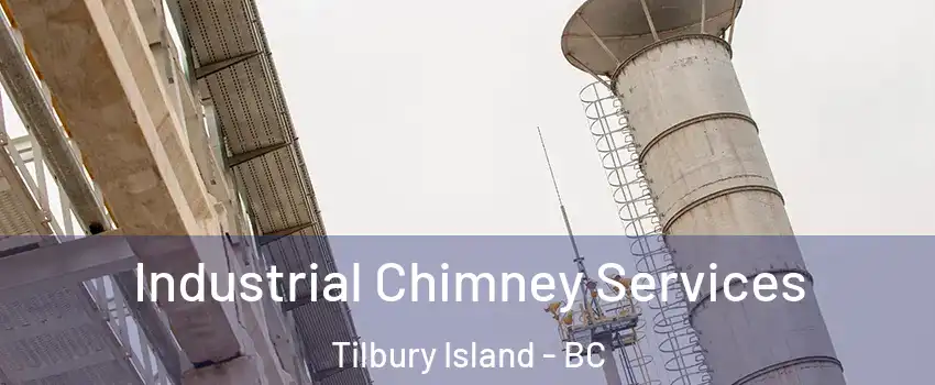  Industrial Chimney Services Tilbury Island - BC