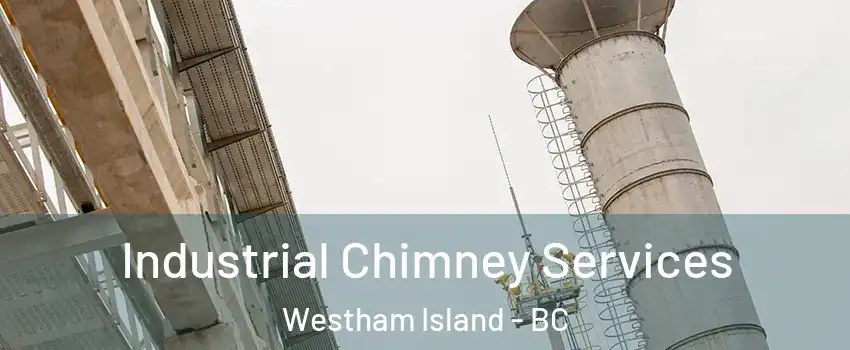  Industrial Chimney Services Westham Island - BC