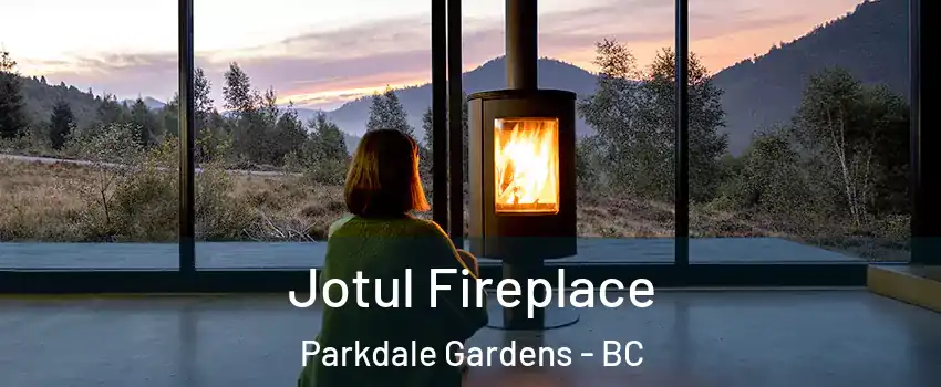  Jotul Fireplace Parkdale Gardens - BC