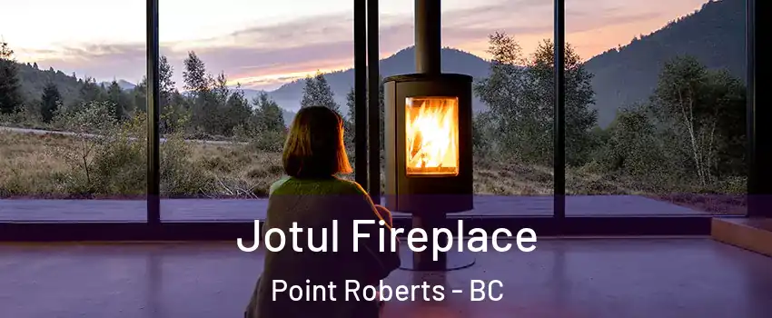  Jotul Fireplace Point Roberts - BC