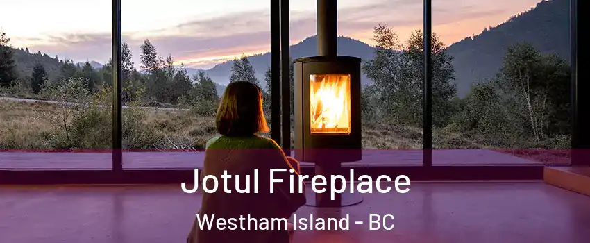  Jotul Fireplace Westham Island - BC