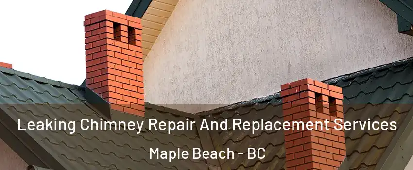  Leaking Chimney Repair And Replacement Services Maple Beach - BC