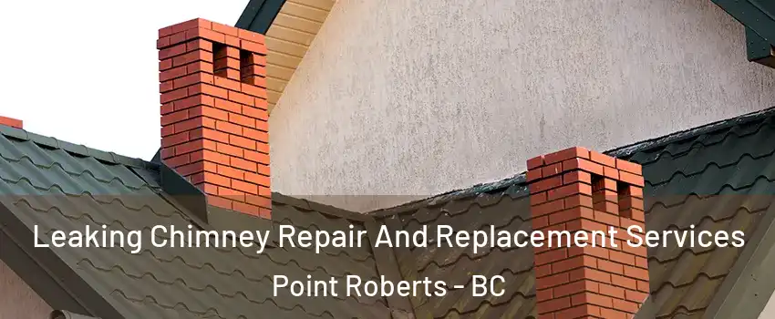  Leaking Chimney Repair And Replacement Services Point Roberts - BC