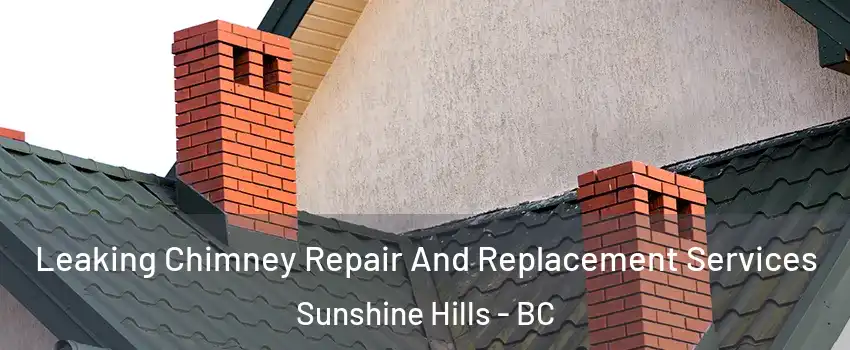  Leaking Chimney Repair And Replacement Services Sunshine Hills - BC