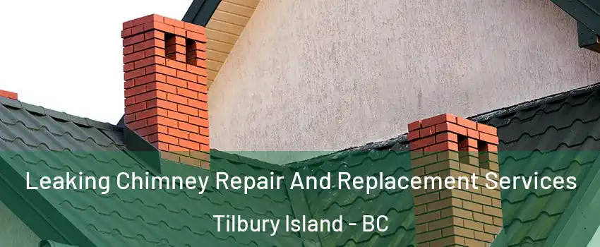  Leaking Chimney Repair And Replacement Services Tilbury Island - BC