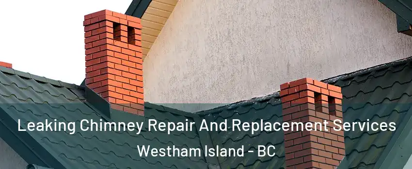  Leaking Chimney Repair And Replacement Services Westham Island - BC