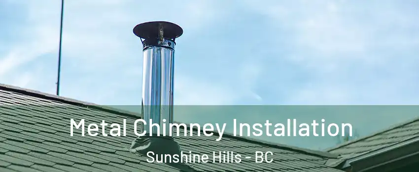  Metal Chimney Installation Sunshine Hills - BC