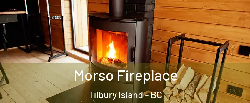  Morso Fireplace Tilbury Island - BC