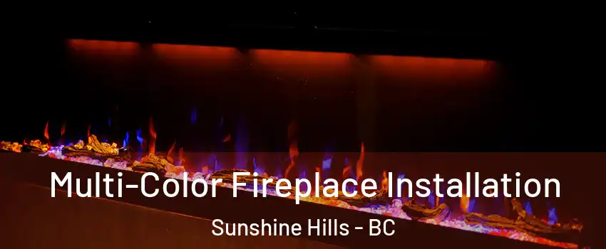  Multi-Color Fireplace Installation Sunshine Hills - BC