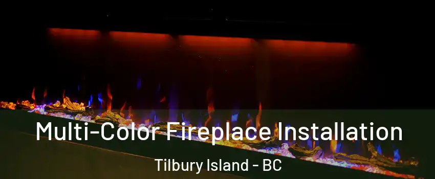  Multi-Color Fireplace Installation Tilbury Island - BC