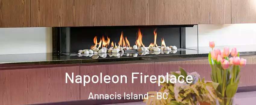  Napoleon Fireplace Annacis Island - BC