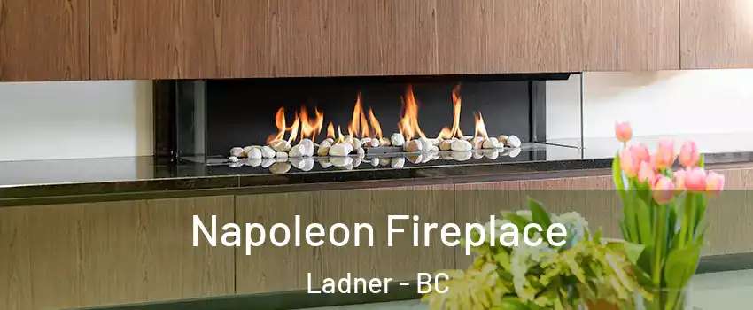  Napoleon Fireplace Ladner - BC