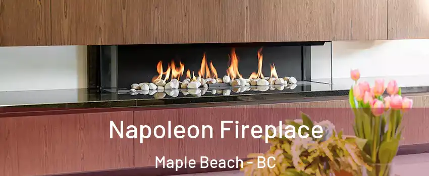  Napoleon Fireplace Maple Beach - BC