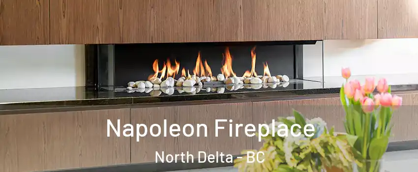  Napoleon Fireplace North Delta - BC