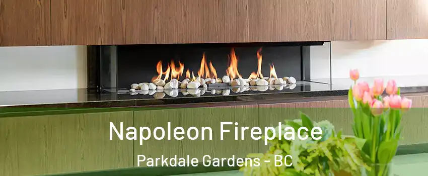  Napoleon Fireplace Parkdale Gardens - BC