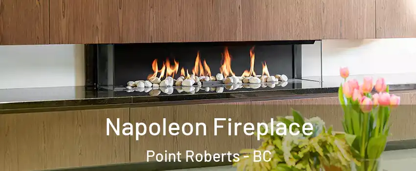  Napoleon Fireplace Point Roberts - BC