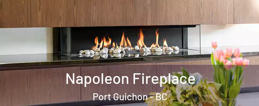  Napoleon Fireplace Port Guichon - BC