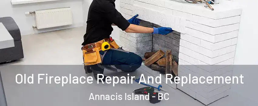  Old Fireplace Repair And Replacement Annacis Island - BC