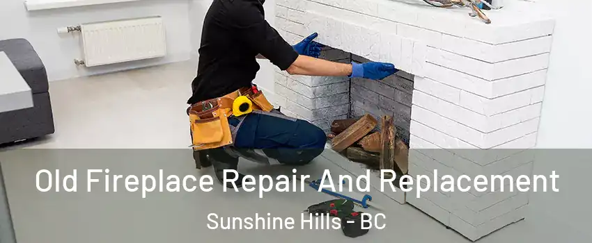  Old Fireplace Repair And Replacement Sunshine Hills - BC