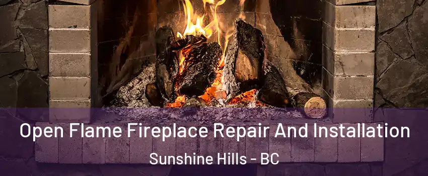  Open Flame Fireplace Repair And Installation Sunshine Hills - BC