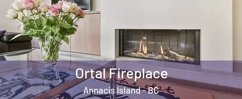 Ortal Fireplace Annacis Island - BC