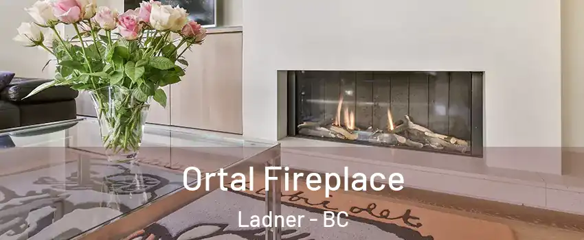  Ortal Fireplace Ladner - BC