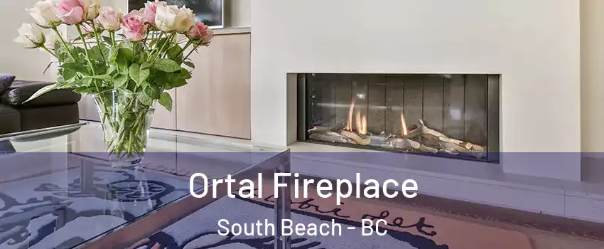 Ortal Fireplace South Beach - BC