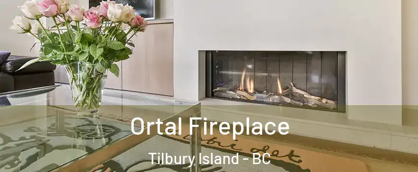 Ortal Fireplace Tilbury Island - BC