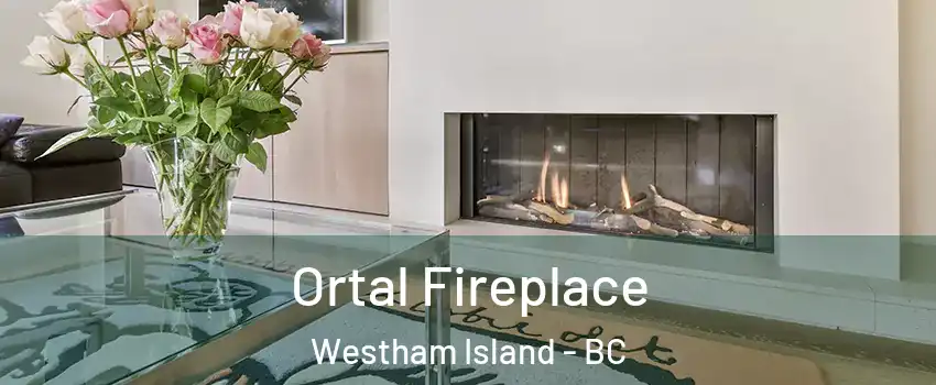 Ortal Fireplace Westham Island - BC