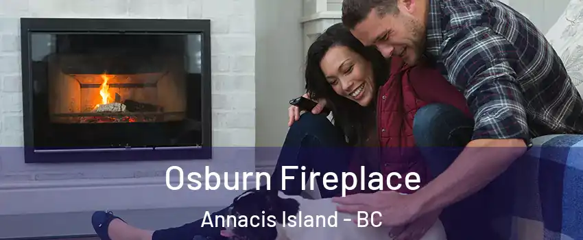  Osburn Fireplace Annacis Island - BC