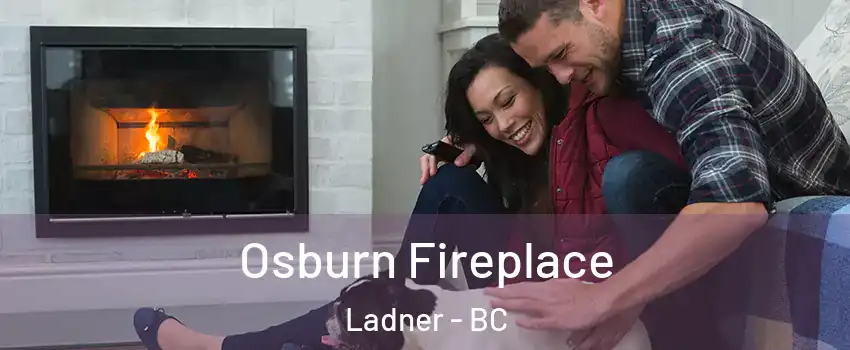  Osburn Fireplace Ladner - BC
