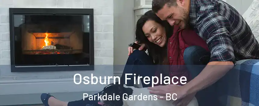  Osburn Fireplace Parkdale Gardens - BC