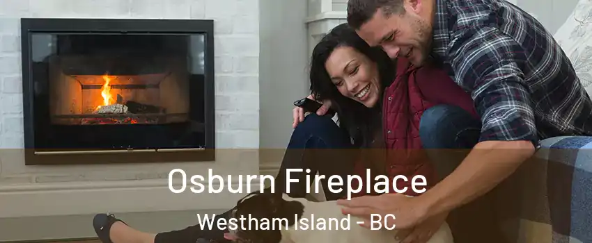  Osburn Fireplace Westham Island - BC