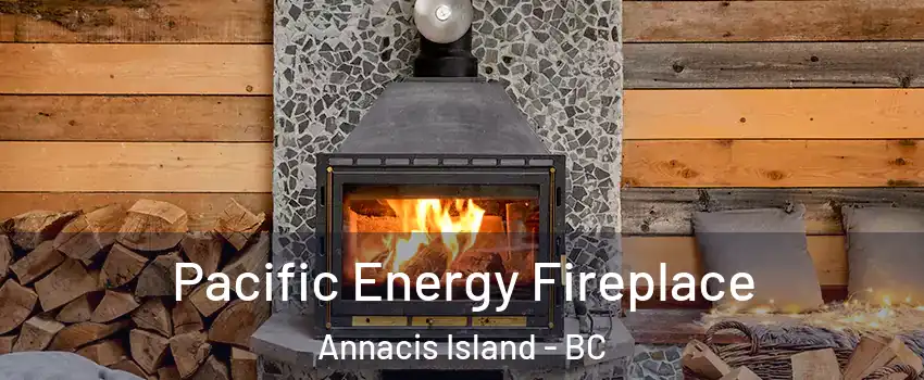  Pacific Energy Fireplace Annacis Island - BC