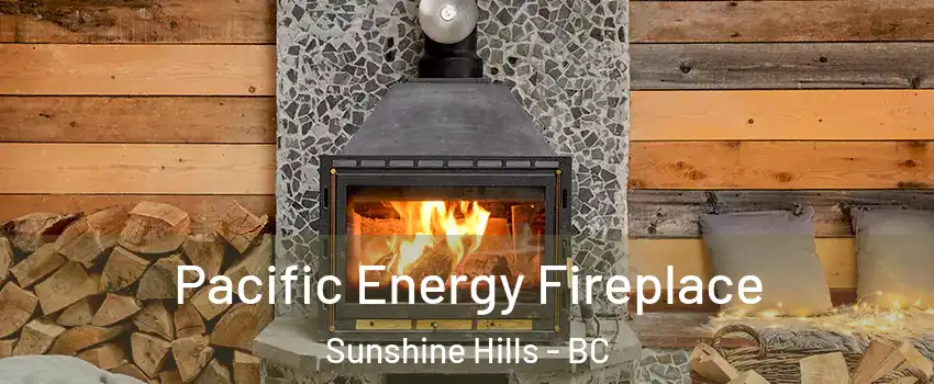  Pacific Energy Fireplace Sunshine Hills - BC