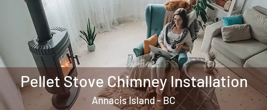  Pellet Stove Chimney Installation Annacis Island - BC