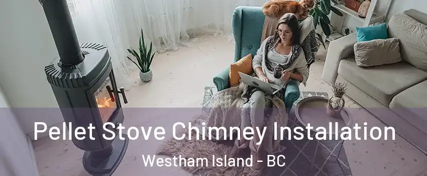  Pellet Stove Chimney Installation Westham Island - BC